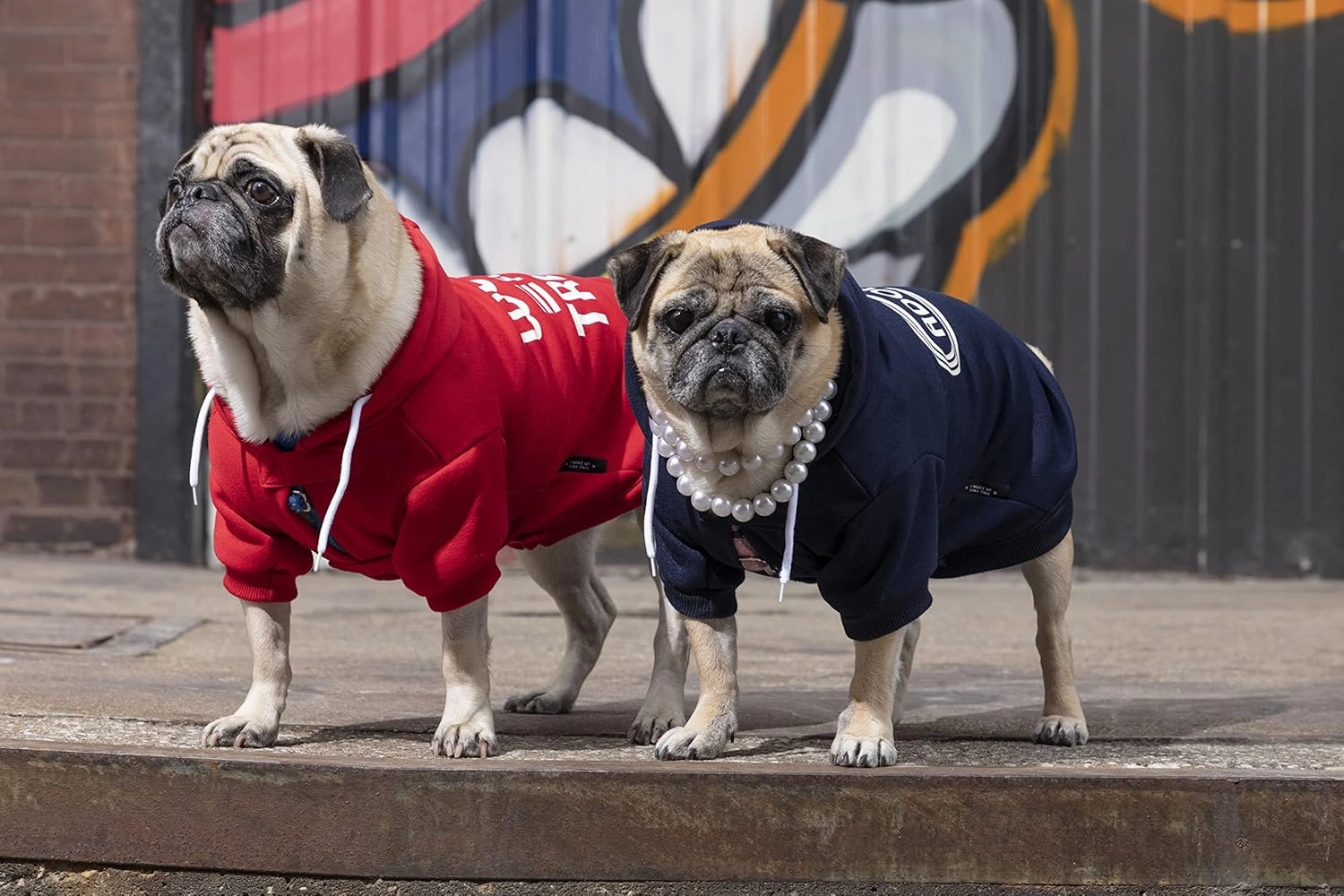 Adopted Dog Hoodie from Brass Monkey - X-Small (14" Chest), Includes 2 White Drawstrings and Velcro Fasteners, Cute Dog Accessories with Vintage Inspired Designs, Makes a Great Gift for Dog Lovers!