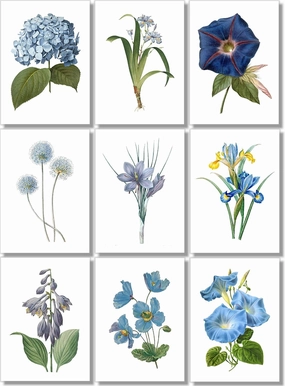 Blue Flower Wall Art - Vintage Floral Wall Decor - Botanical Prints - 5x7 - Set of 9 - Unframed