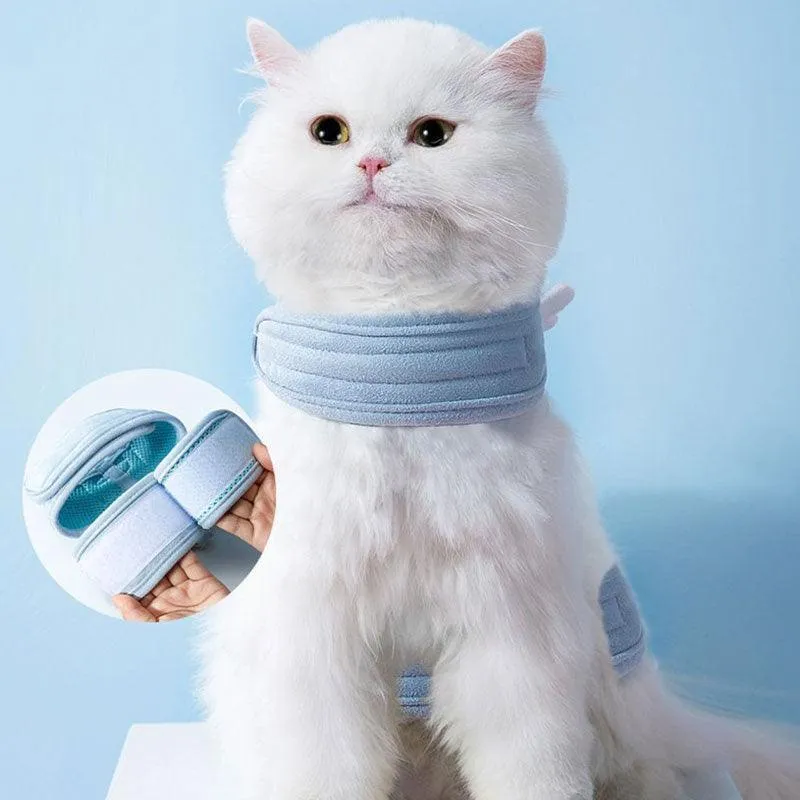 Cute Cat Harness With Wings Leash Set Large Cat Lead