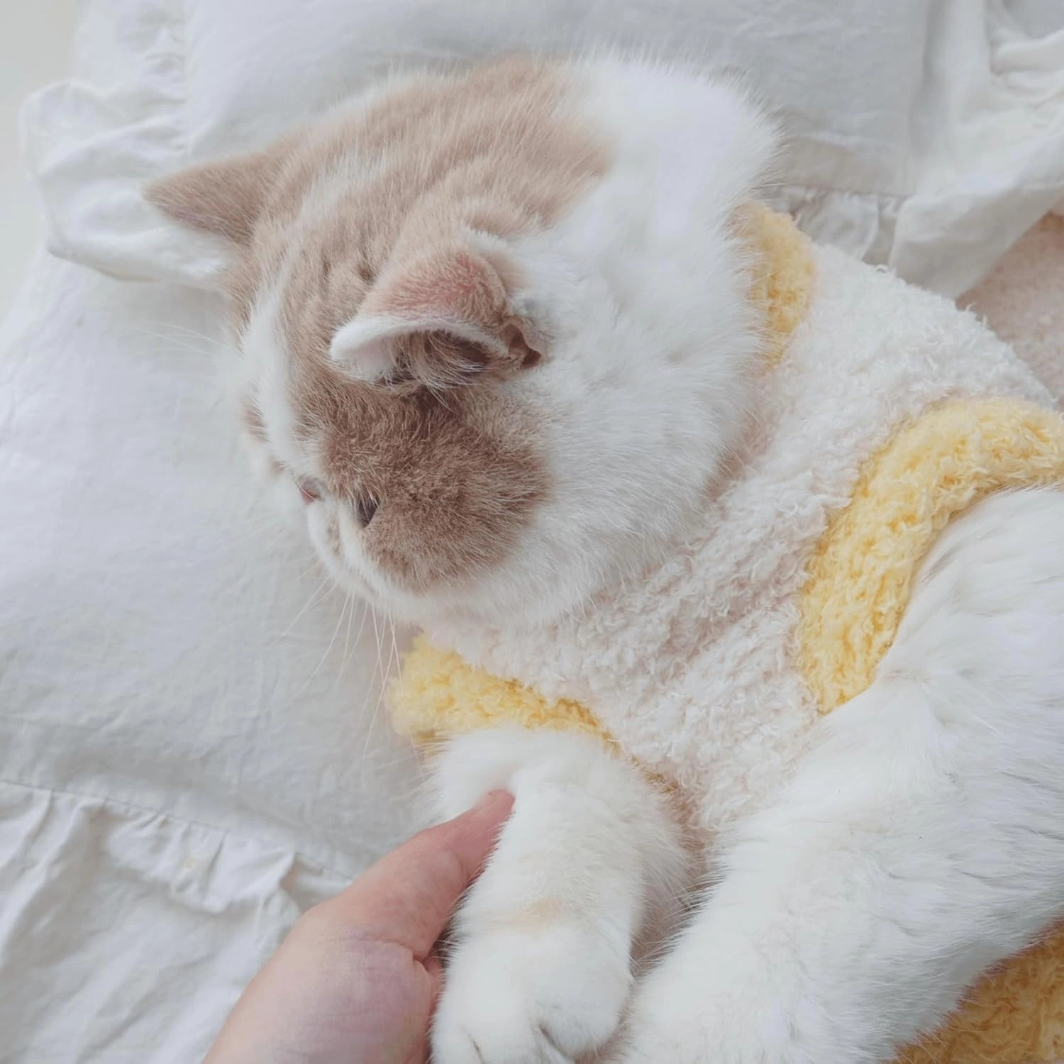 Cute Cat Sweaters Warm Cotton Plush Dog Apparel & Accessories Sleeveless White Kitten Sweaters for Indoor Cats and Small Dogs with Pet Laundry Bag (Yellow,M (5.5-8.8lbs))