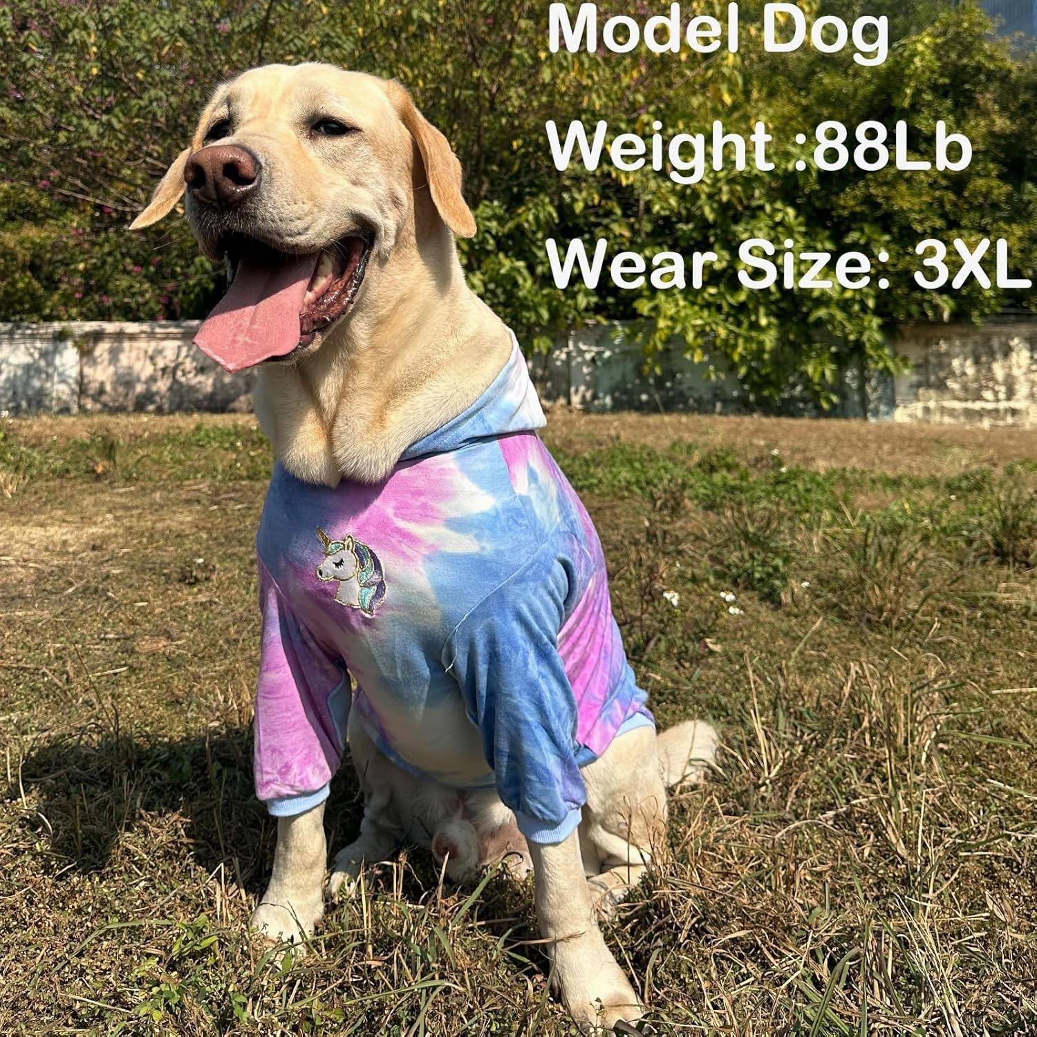 Dog Cotton Tie dye Hoodie Blue Pullover Sweatshirts Soft and Stretch Pets Clothes Hooded for Large Dogs(Blue XL)