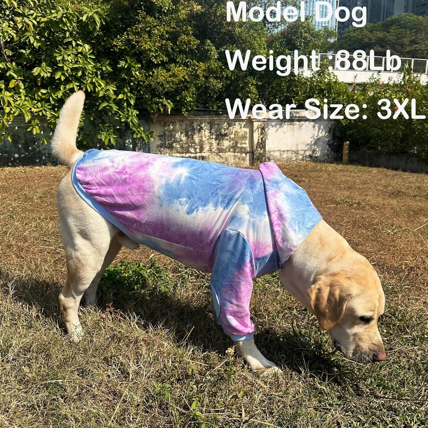 Dog Cotton Tie dye Hoodie Blue Pullover Sweatshirts Soft and Stretch Pets Clothes Hooded for Large Dogs(Blue XL)