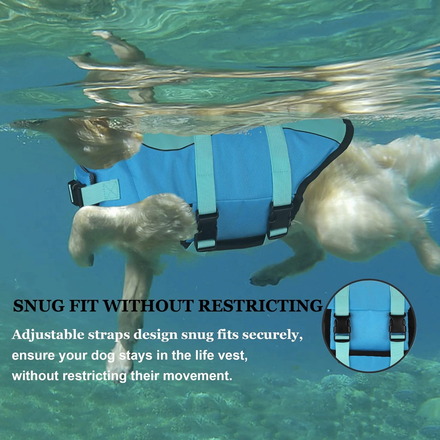 Dogcheer Dog Life Jacket, Cute Shark Dog Life Vest for Swimming Boating with Superior Buoyancy and Rescue Handle, Adjustable Puppy Floating Swim Vest for Small Medium Large Dogs(Pool Blue,XS)