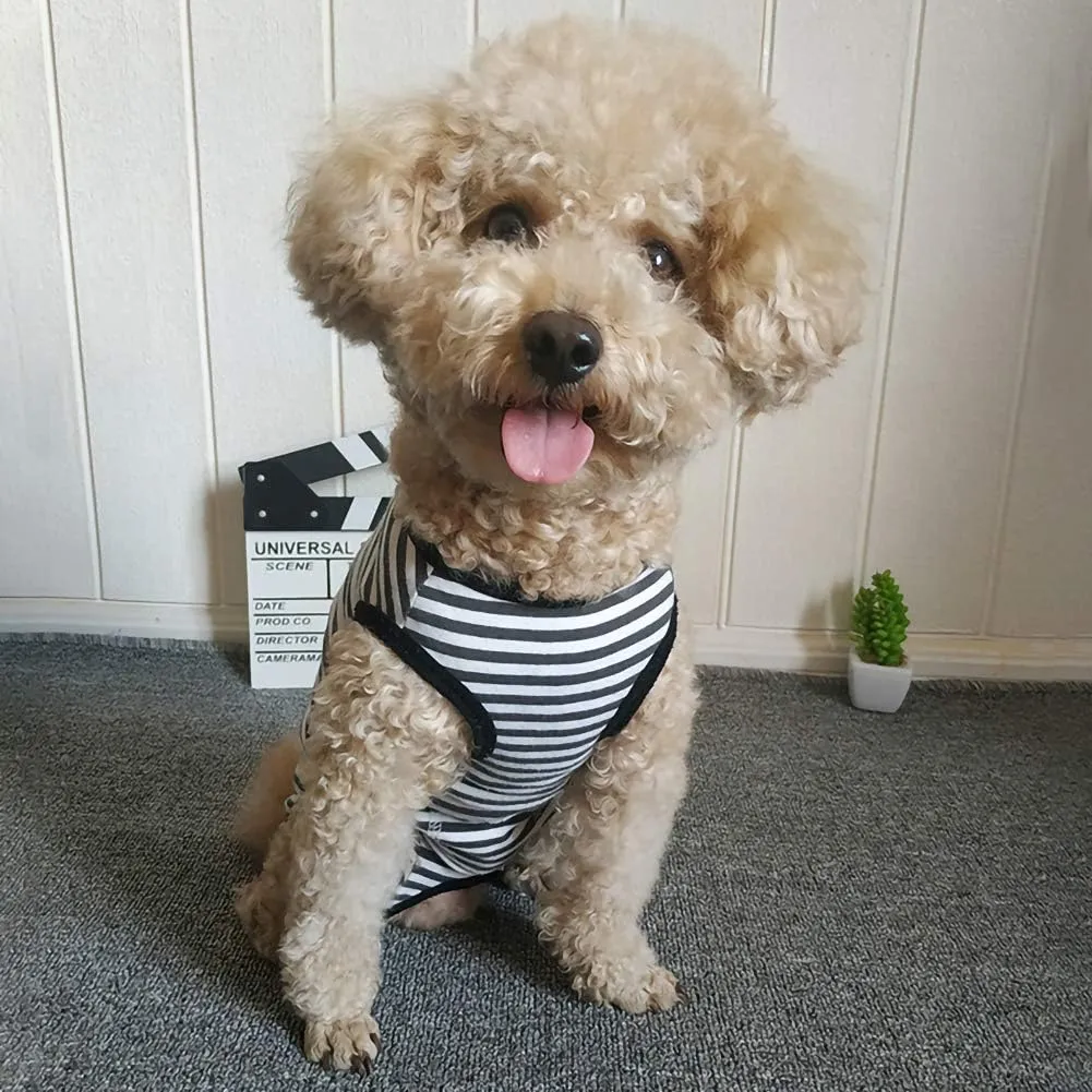 Dog’s Recovery Suit Post Surgery Shirt for Puppy, Wound Protective Clothes for Little Animals(Black White Stripe-XL)