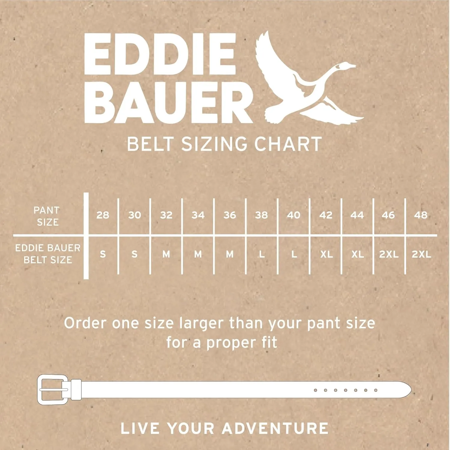 Eddie Bauer Men's Backcountry Belt-Active Stretch Webbing with Metal Glide Buckle