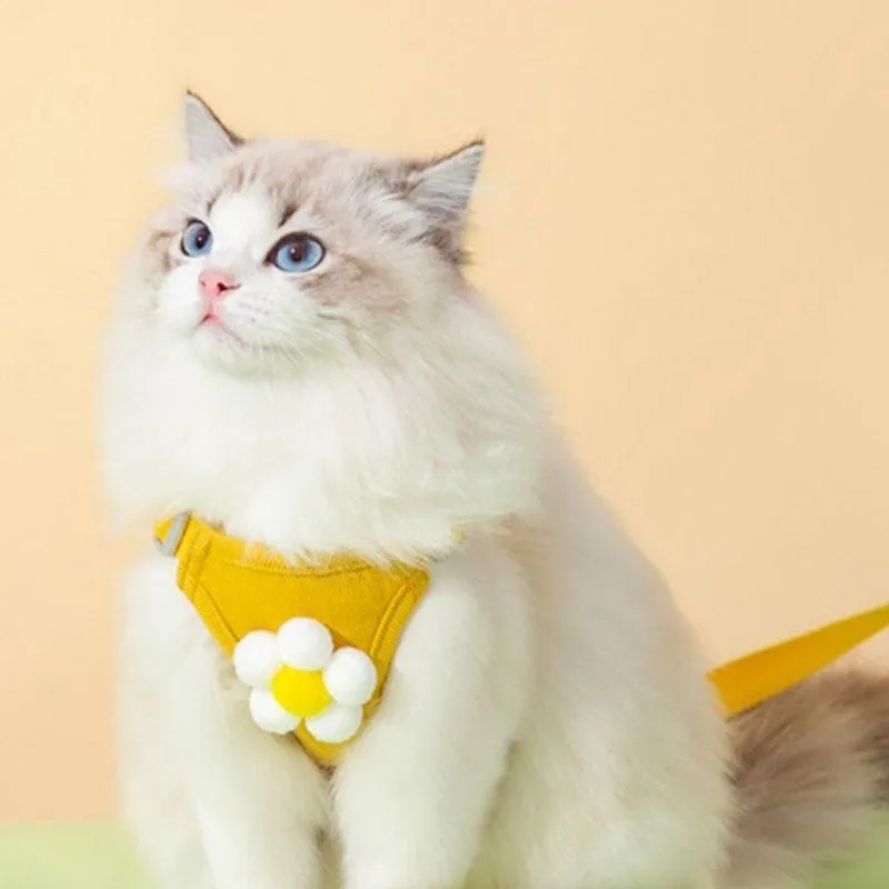 Flower Cat Harness 3 Color Cute Travel Leash Set