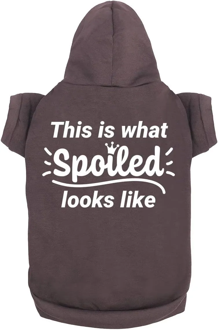 Funny Dog Hoodies Cute Pet Sweatshirt & Dog Accessories for Large & Small Dogs Soft | Charcoal (Large)
