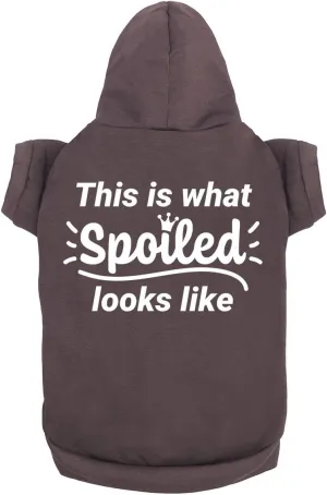 Funny Dog Hoodies Cute Pet Sweatshirt & Dog Accessories for Large & Small Dogs Soft | Charcoal (Large)