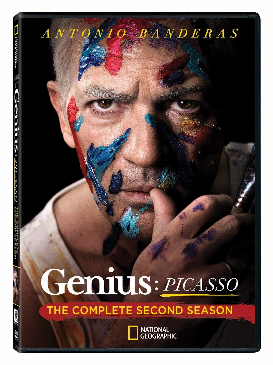 Genius Picasso