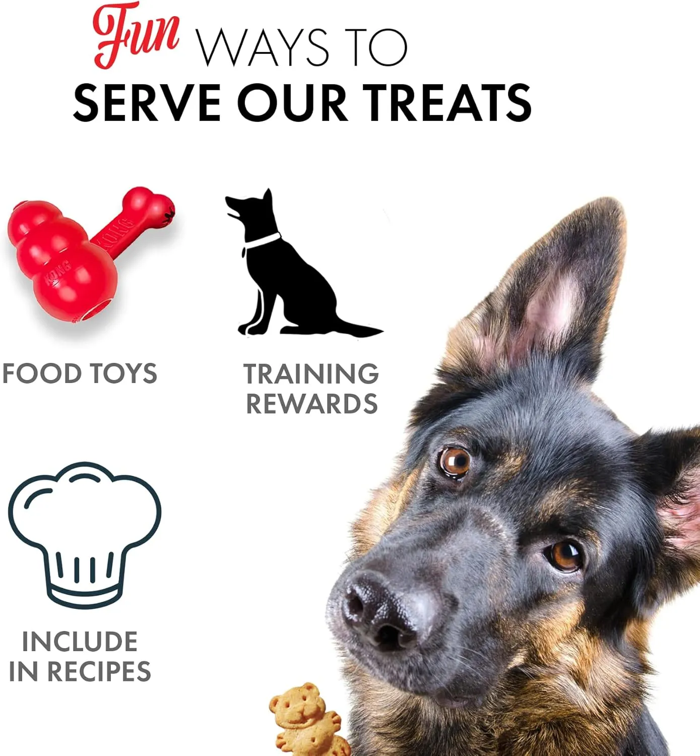 Grandma Lucy's - Organic Baked Dog Treats - Pumpkin - 14Oz