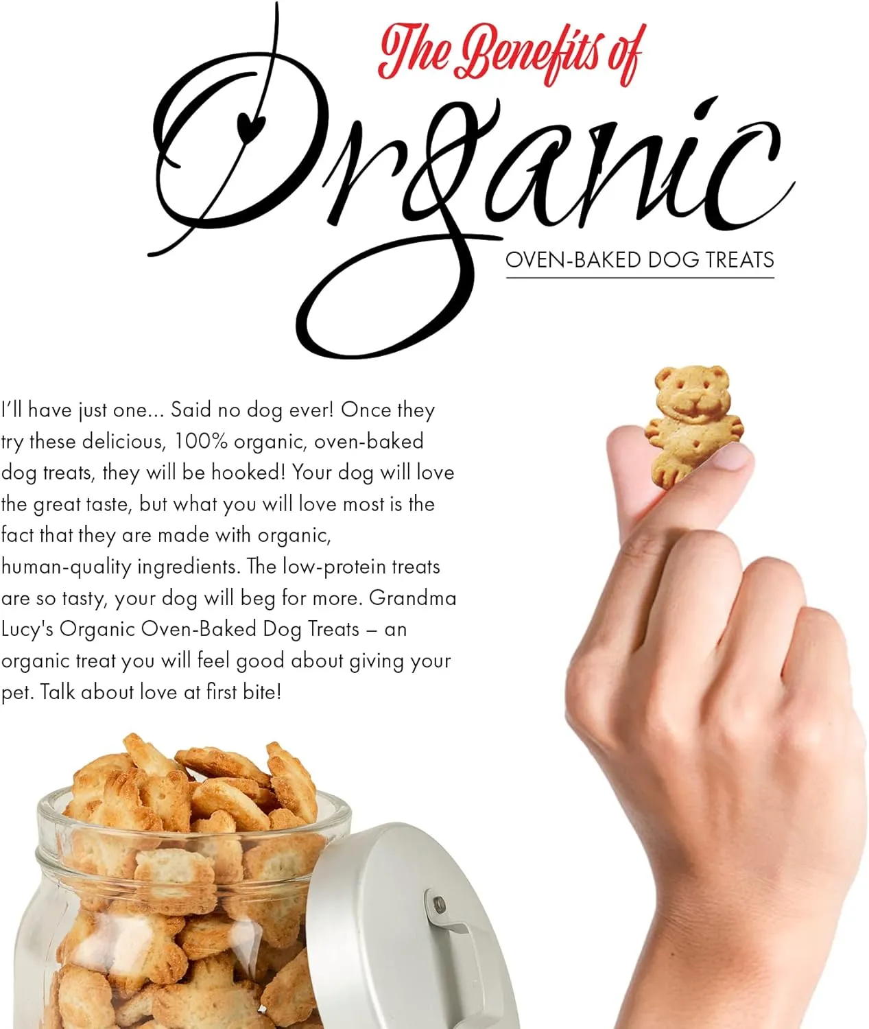 Grandma Lucy's - Organic Baked Dog Treats - Pumpkin - 14Oz