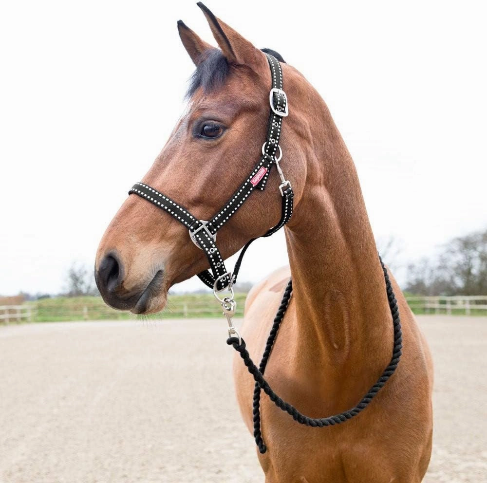 HORZE Cooper Halter with Lead Rope - Black - Horse