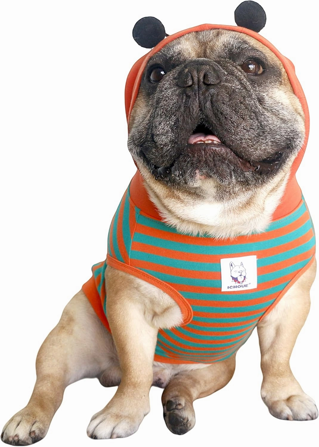iChoue English Bulldog Bumble Bee Costumes Clothes Hoodies Shirts Vest for Medium Dogs Cold Weather Winter Coats French Frenchie Pug Pitbull Boston Terrier - Orange Green, XLarge
