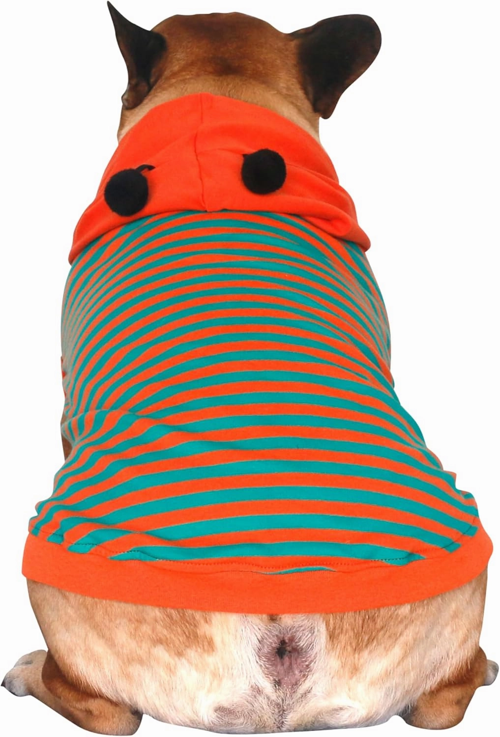 iChoue English Bulldog Bumble Bee Costumes Clothes Hoodies Shirts Vest for Medium Dogs Cold Weather Winter Coats French Frenchie Pug Pitbull Boston Terrier - Orange Green, XLarge