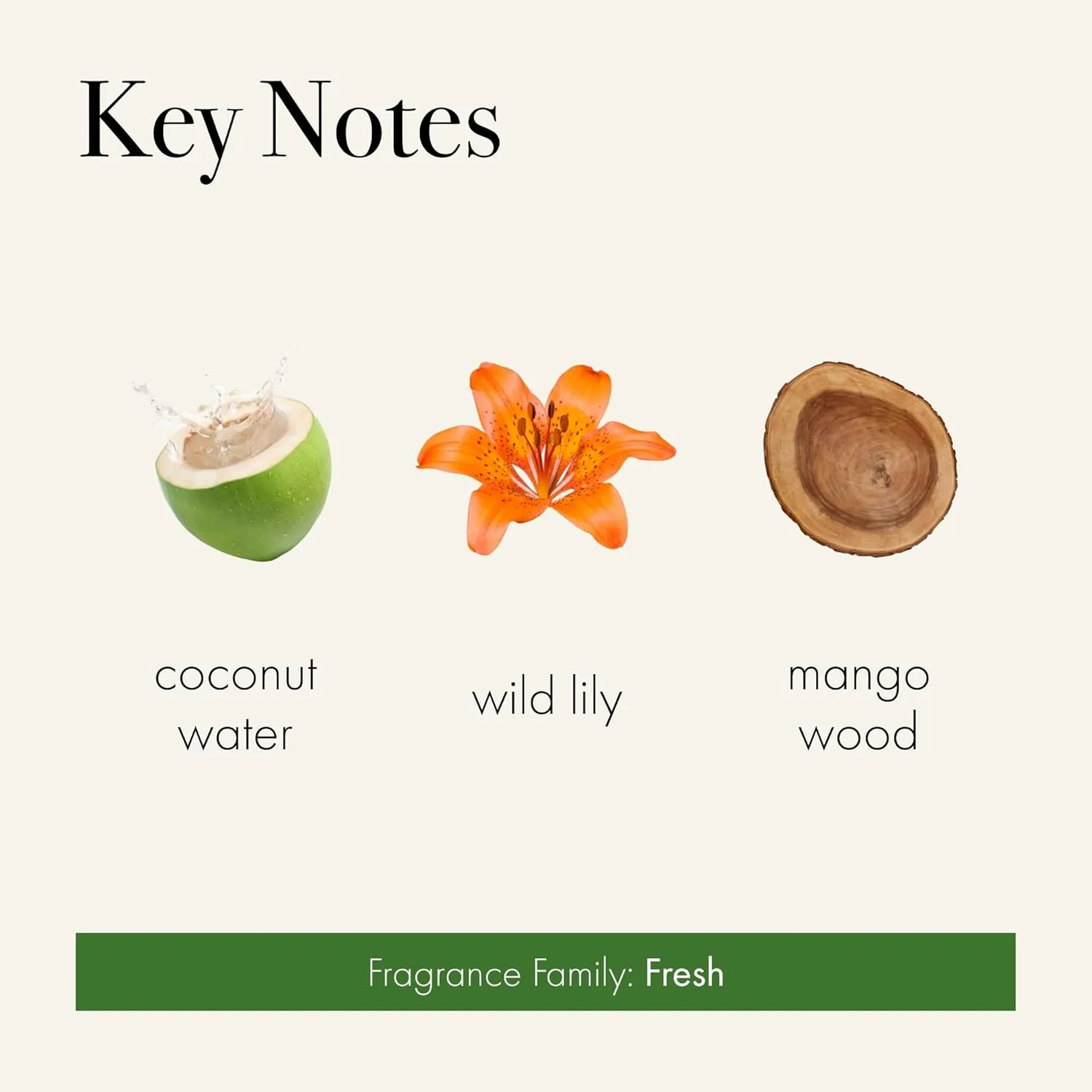 LAFCO New York Pura Smart Device Refill, Jungle Bloom - Vial Delivers Up to 2 Weeks of Fragrance Life - Made in the USA