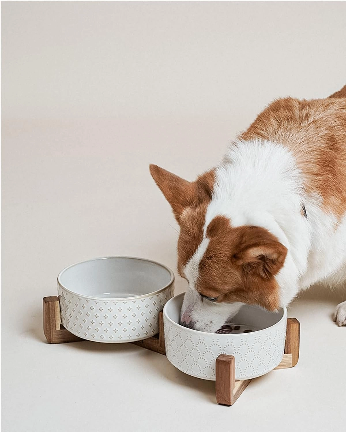 LE TAUCI Ceramic Dog Bowls, Set with Acacia Wood Stand, 7 Inch Food and Water Bowl for Medium Large Dogs