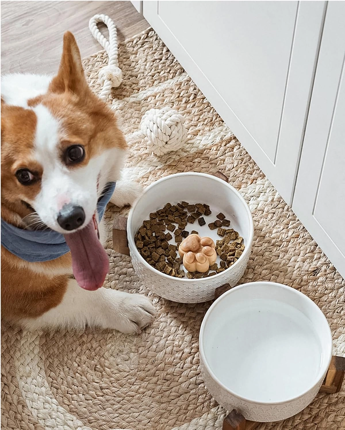 LE TAUCI Ceramic Dog Bowls, Set with Acacia Wood Stand, 7 Inch Food and Water Bowl for Medium Large Dogs