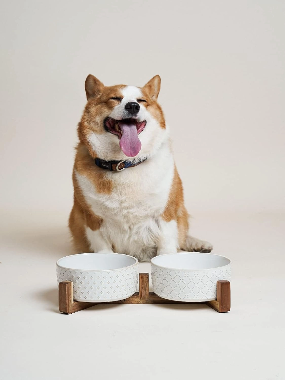 LE TAUCI Ceramic Dog Bowls, Set with Acacia Wood Stand, 7 Inch Food and Water Bowl for Medium Large Dogs