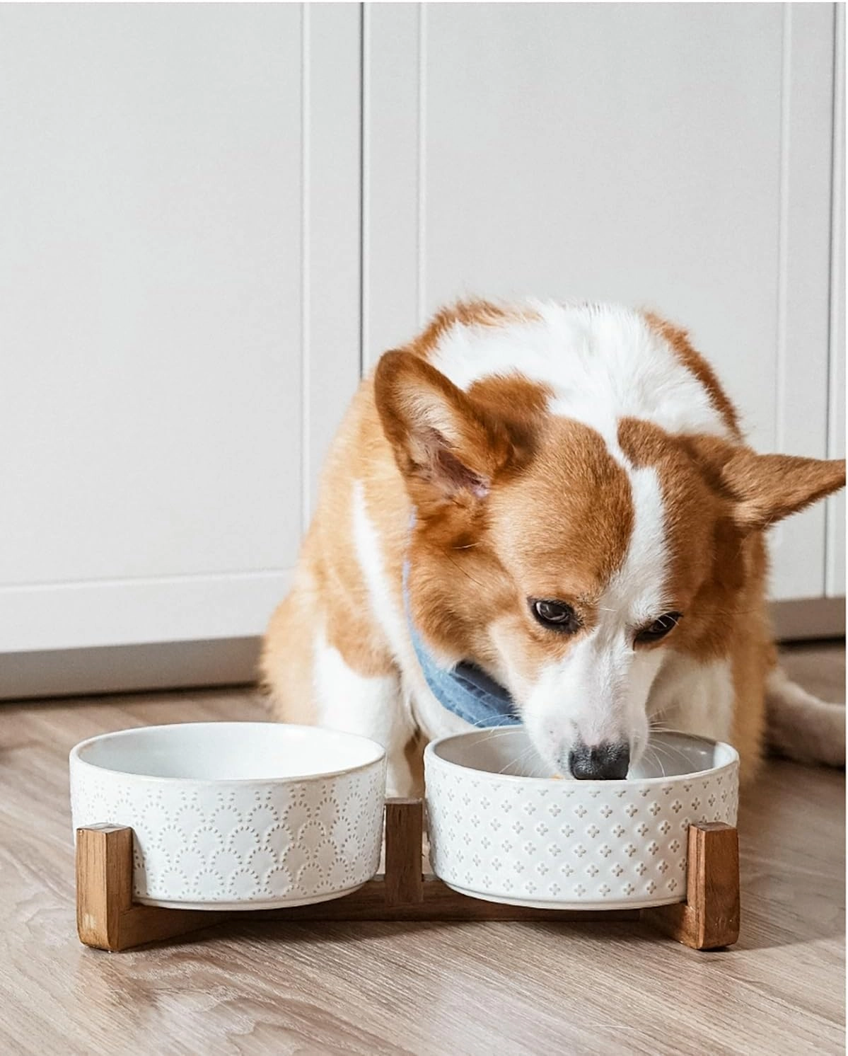 LE TAUCI Ceramic Dog Bowls, Set with Acacia Wood Stand, 7 Inch Food and Water Bowl for Medium Large Dogs