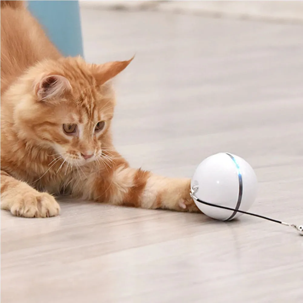 Led Light 360 Degree Self Rotating Ball Pets