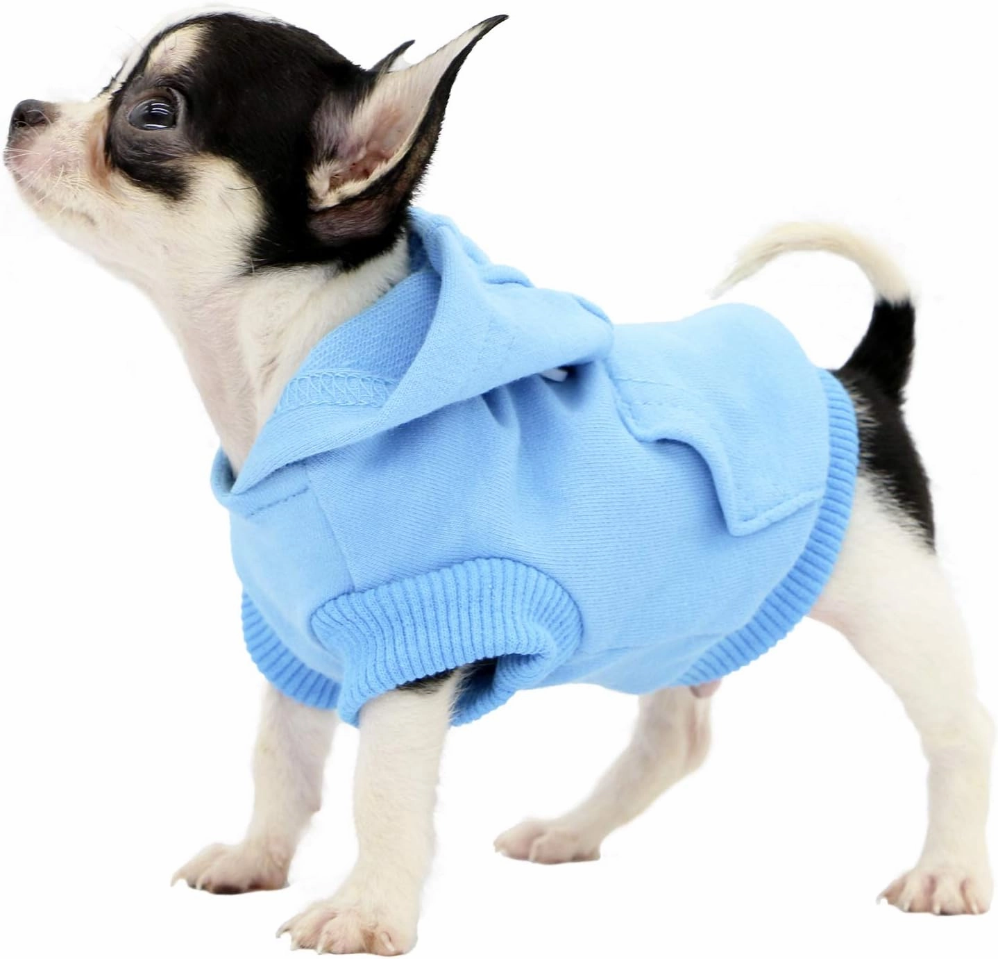 LOPHIPETS Dog Cotton Hoodies Sweatshirts for Small Dogs Chihuahua Puppy Clothes Cold Weather Coat-Cambridge Blue/XS