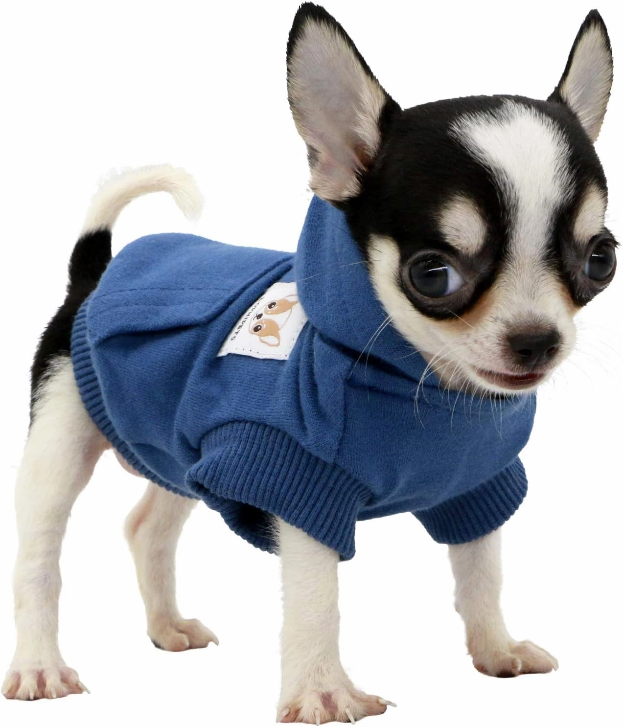 LOPHIPETS Dog Cotton Hoodies Sweatshirts for Small Dogs Chihuahua Puppy Clothes Cold Weather Coat-Navy/XS