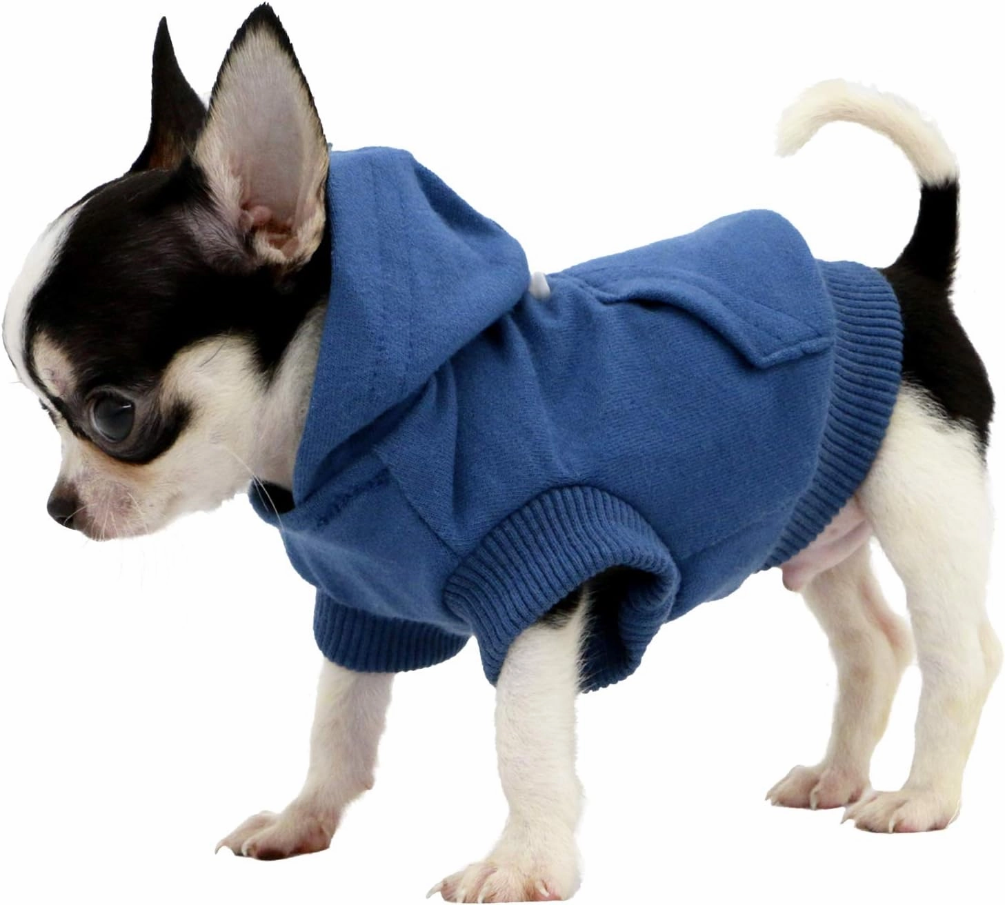 LOPHIPETS Dog Cotton Hoodies Sweatshirts for Small Dogs Chihuahua Puppy Clothes Cold Weather Coat-Navy/XS