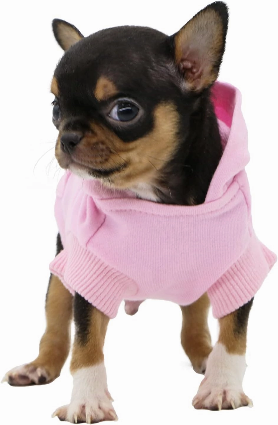 LOPHIPETS Dog Cotton Hoodies Sweatshirts for Small Dogs Chihuahua Puppy Clothes Cold Weather Coat-Pink/XXS