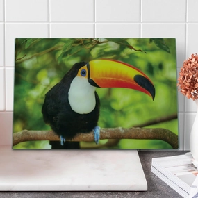 Lunarable Jungle Cutting Board, Tucan Bird Tree Branch Rainforest Eco Tourism Zoo Wildlife Picture, Decorative Tempered Glass Cutting and Serving Board, Large Size, Lime Green Vermilion Black