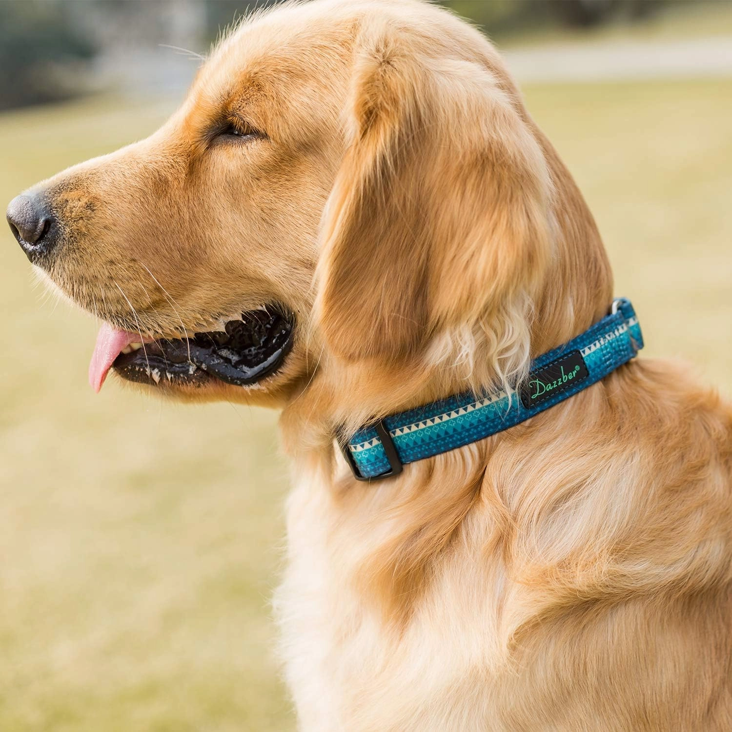 Martingale Collar Dog Collar No Pull Pet Collar Heavy Duty Dog Martingale Collars Silky Soft with Unique Geometric Pattern for Medium and Large Dogs (Large, Turquoise)