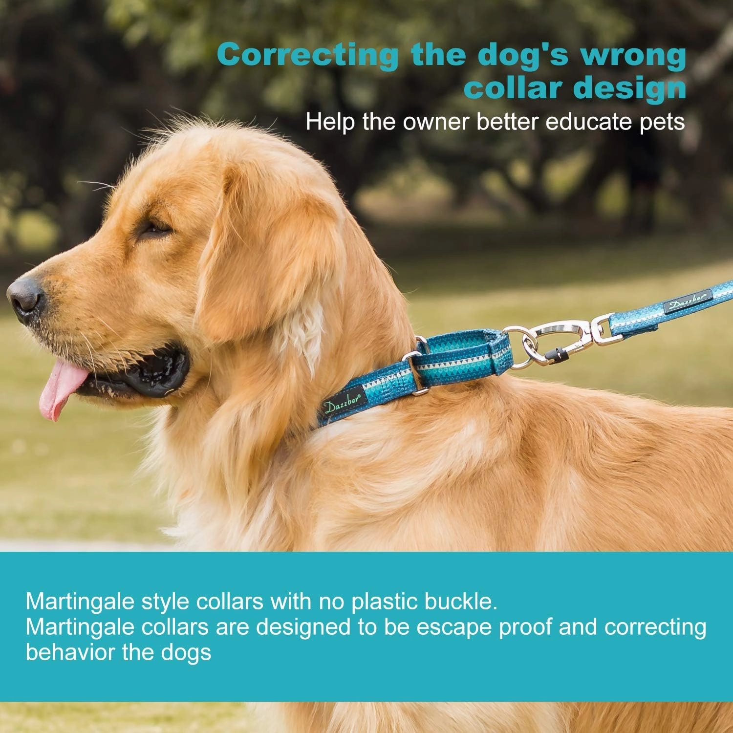 Martingale Collar Dog Collar No Pull Pet Collar Heavy Duty Dog Martingale Collars Silky Soft with Unique Geometric Pattern for Medium and Large Dogs (Large, Turquoise)