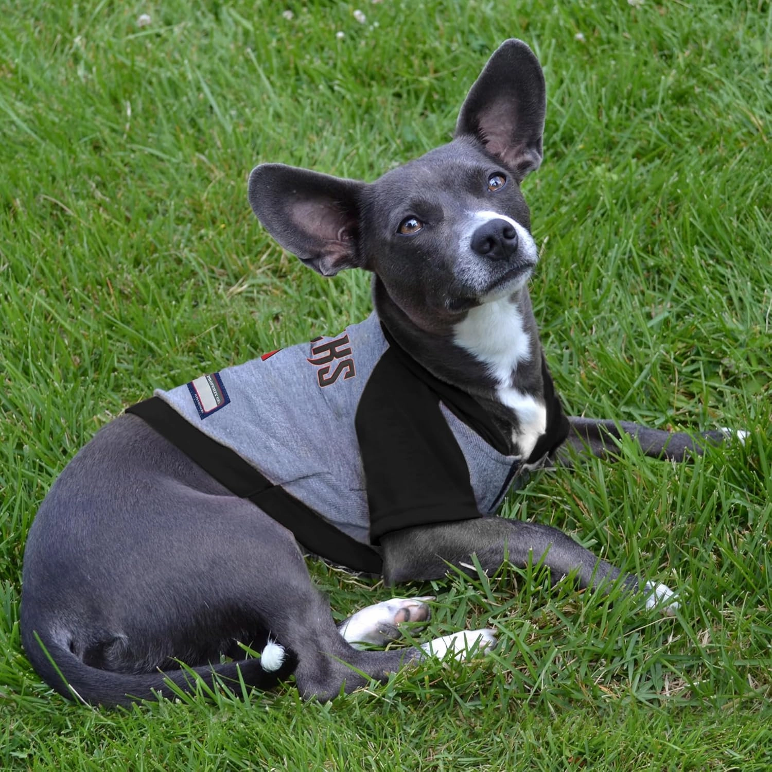 MLB Hoodie Shirt for Dogs & Cats - Arizona Diamondbacks Dog Hooded T-Shirt, Small. - MLB Team Color Hoody Vest for Baseball Fans