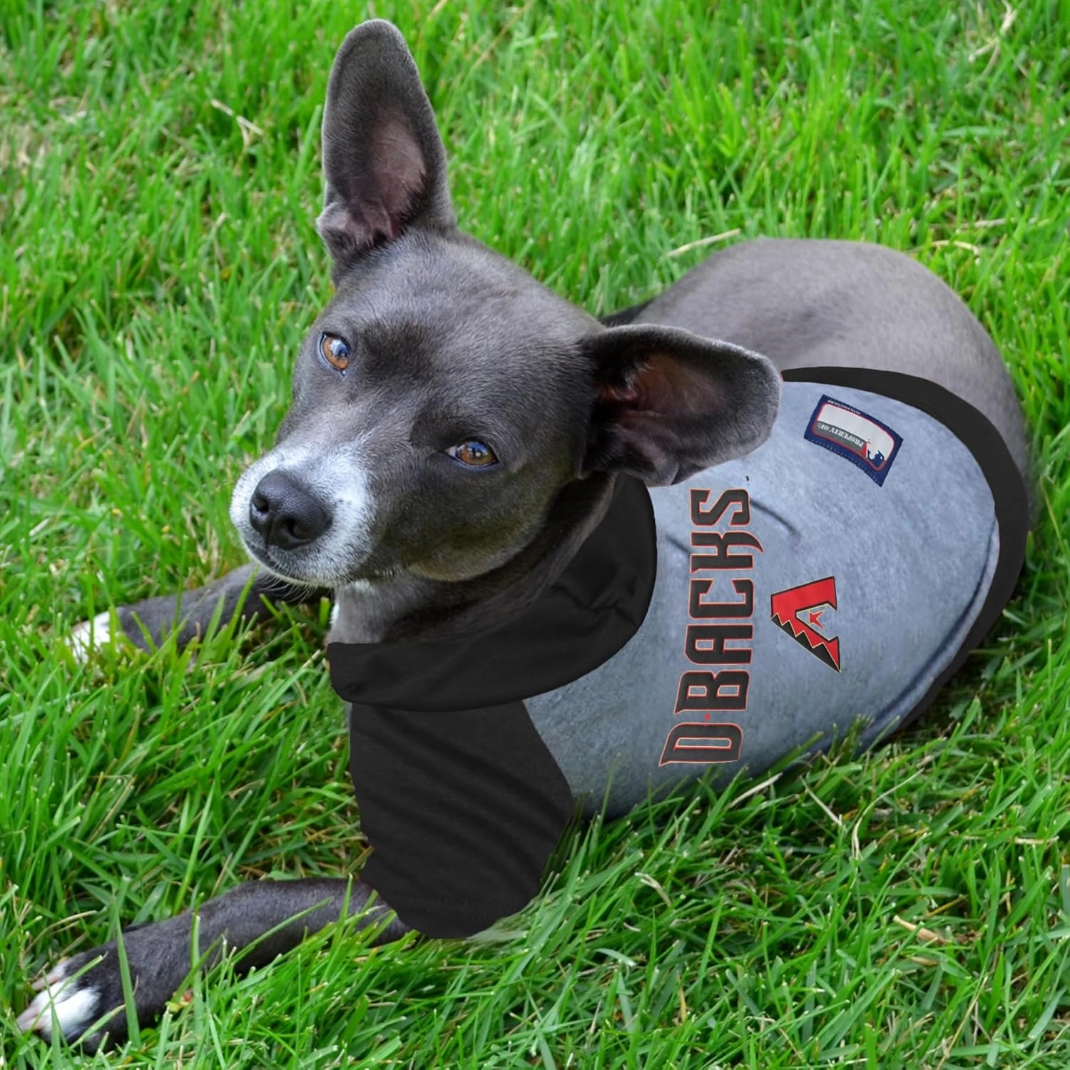 MLB Hoodie Shirt for Dogs & Cats - Arizona Diamondbacks Dog Hooded T-Shirt, Small. - MLB Team Color Hoody Vest for Baseball Fans