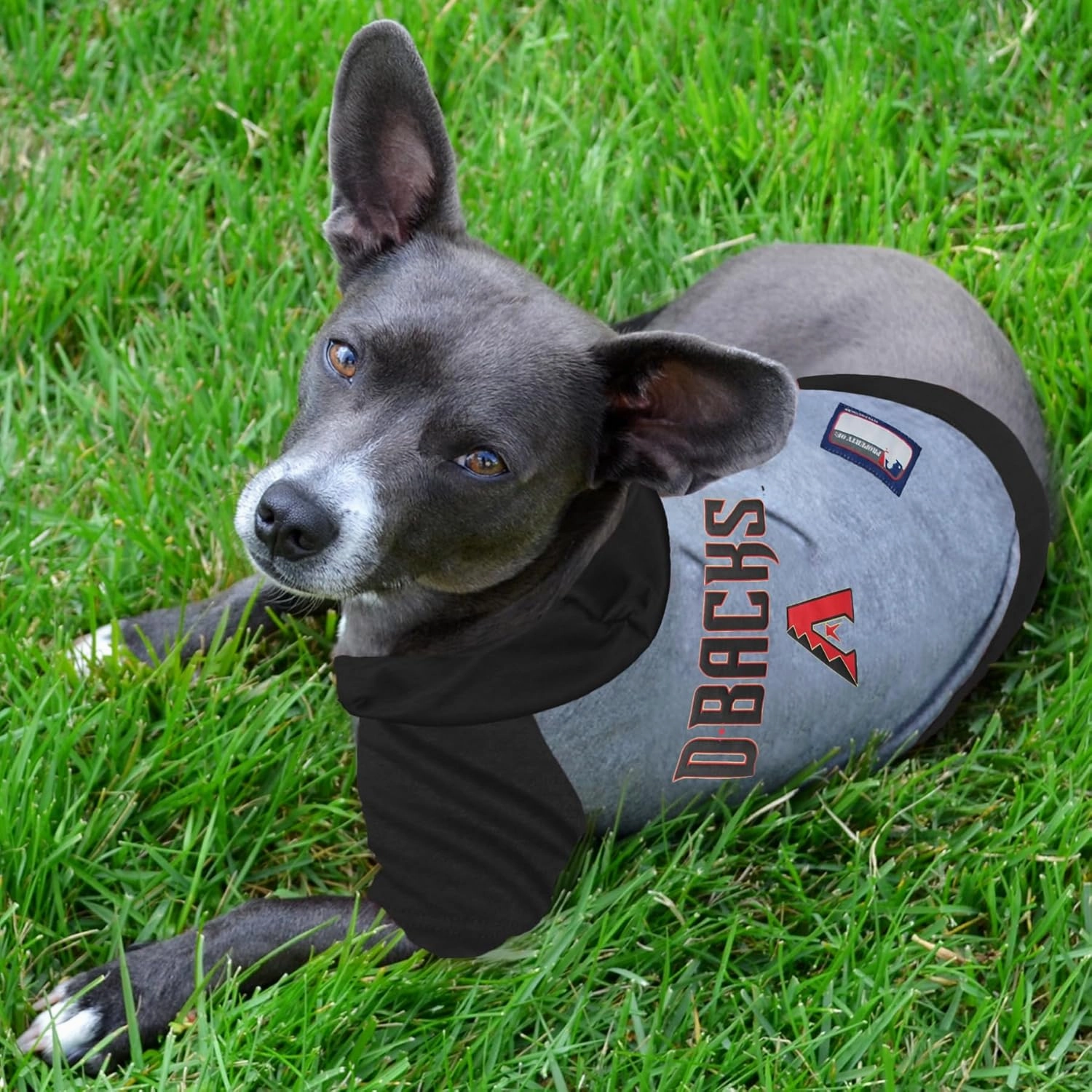 MLB Hoodie Shirt for Dogs & Cats - Arizona Diamondbacks Dog Hooded T-Shirt, X-Small. - MLB Team Color Hoody Vest for Baseball fans
