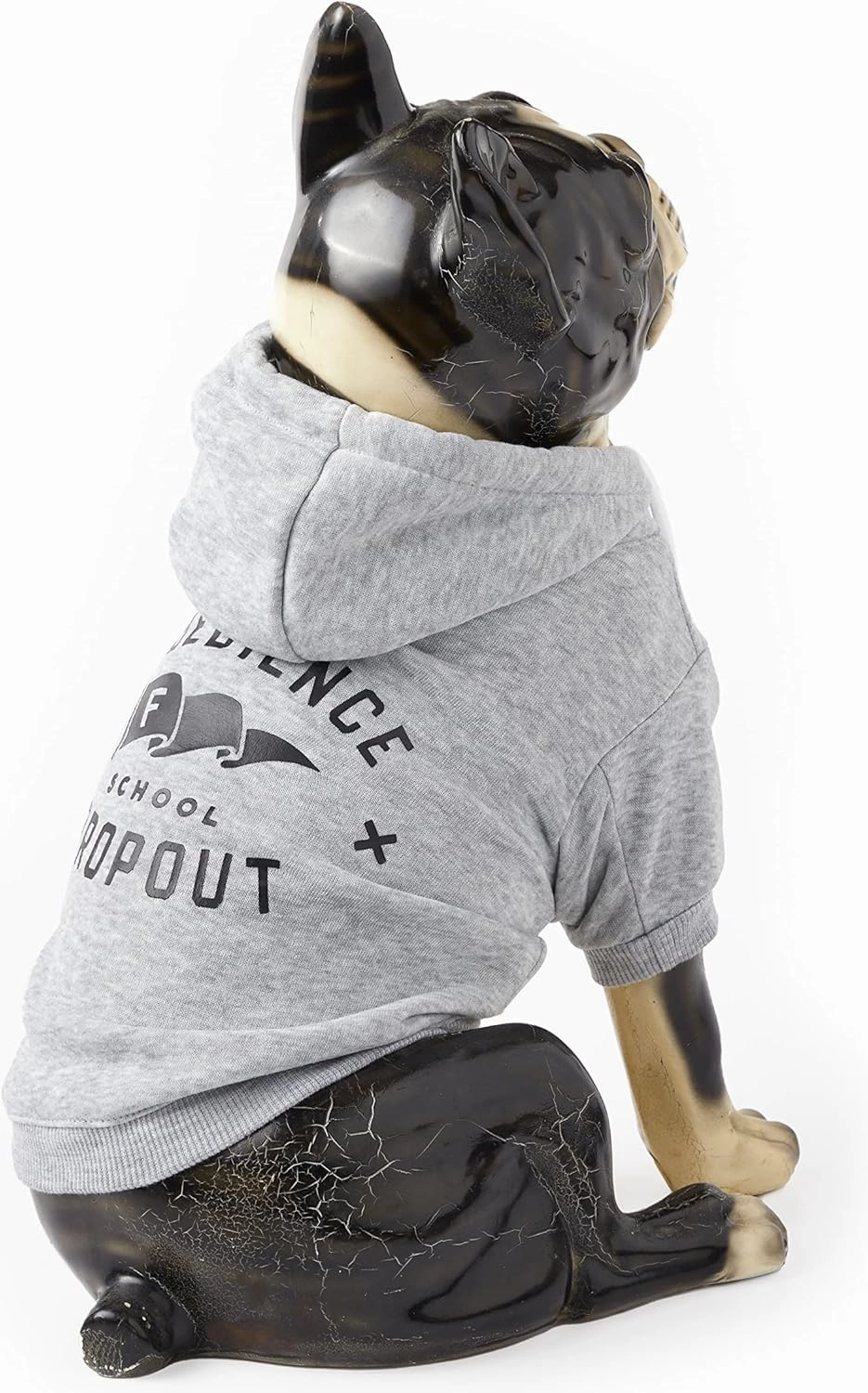 Obedience School Dropout Dog Hoodie from Brass Monkey - Small (16" Chest), Includes 2 White Drawstrings and Velcro Fasteners, Cute Dog Accessories with Vintage Inspired Designs, Great Gift!