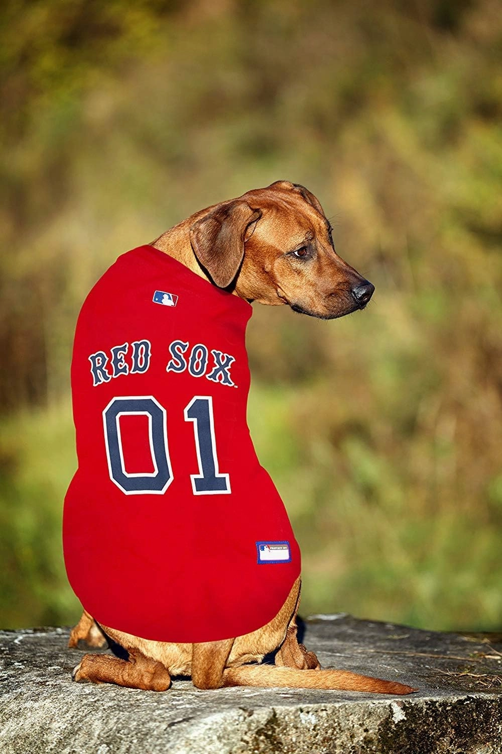 Official MLB Boston Red Sox Pet Jersey for Dogs & Cats, Size XX-Large - Stylish Baseball Jersey for Your Furry Fan- Show Off Team Spirit with The Perfect Fan Apparel Gear for Pet, Dog & Cat