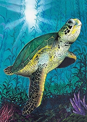 Pacifica Island Art Hawaii Greeting Cards Set (12) Turtle Honu by Scott Westmoreland - Blank
