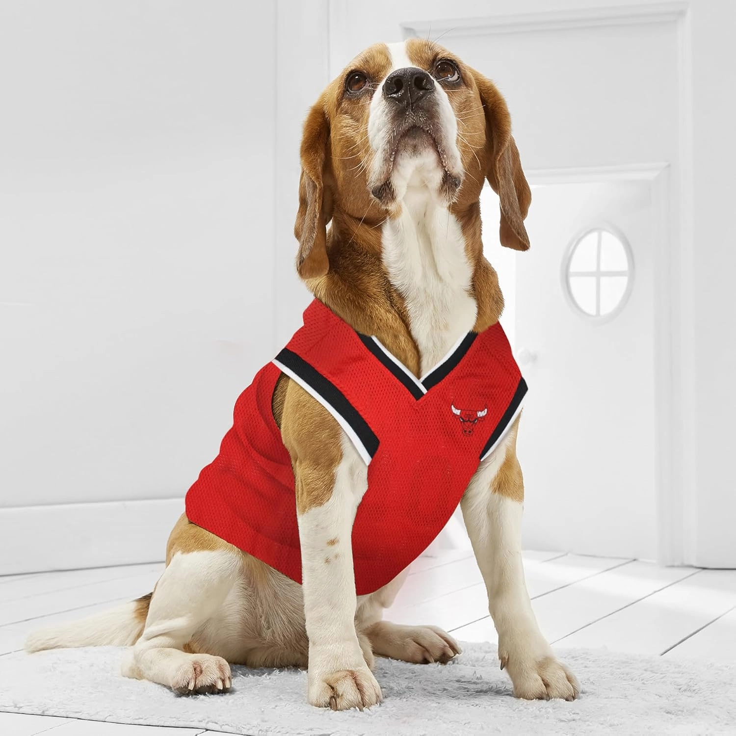 Pets First Jersey, Large - Tank Top Basketball Pet Jersey