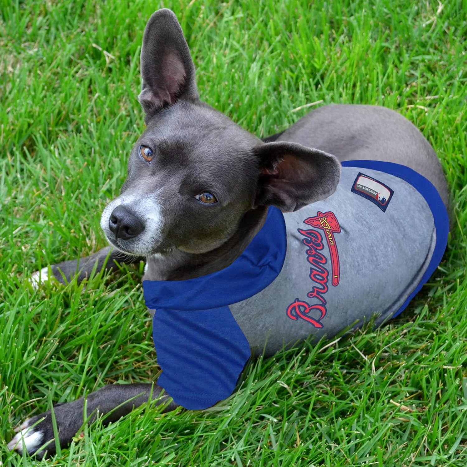 Pets First MLB Hoodie for Dogs & Cats - Atlanta Braves Dog Hooded T-Shirt, Small. - MLB Team Color Hoody (BRV-4044-SM)
