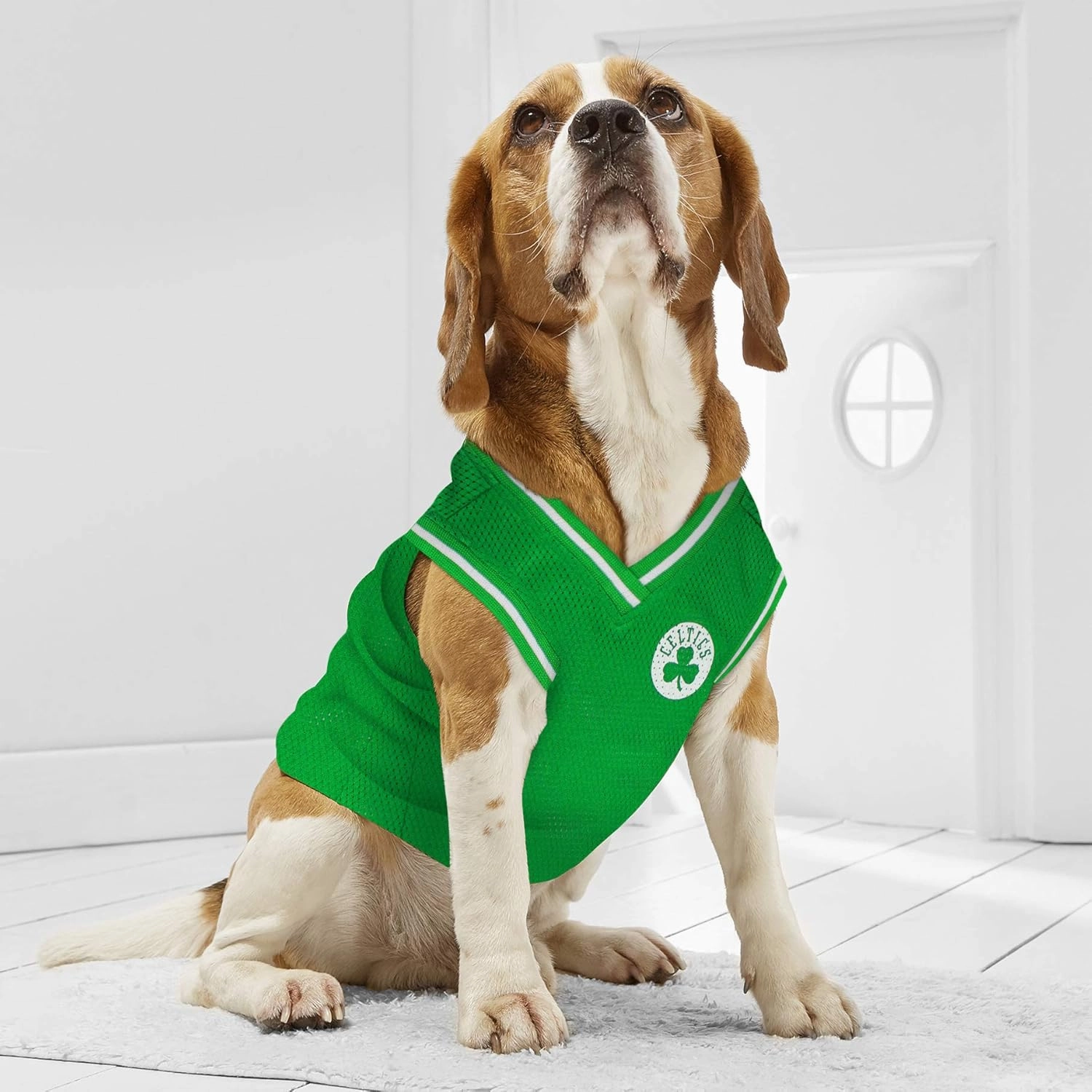 Pets First NBA BOSTON CELTICS DOG Jersey, X-Large - Tank Top Basketball Pet Jersey