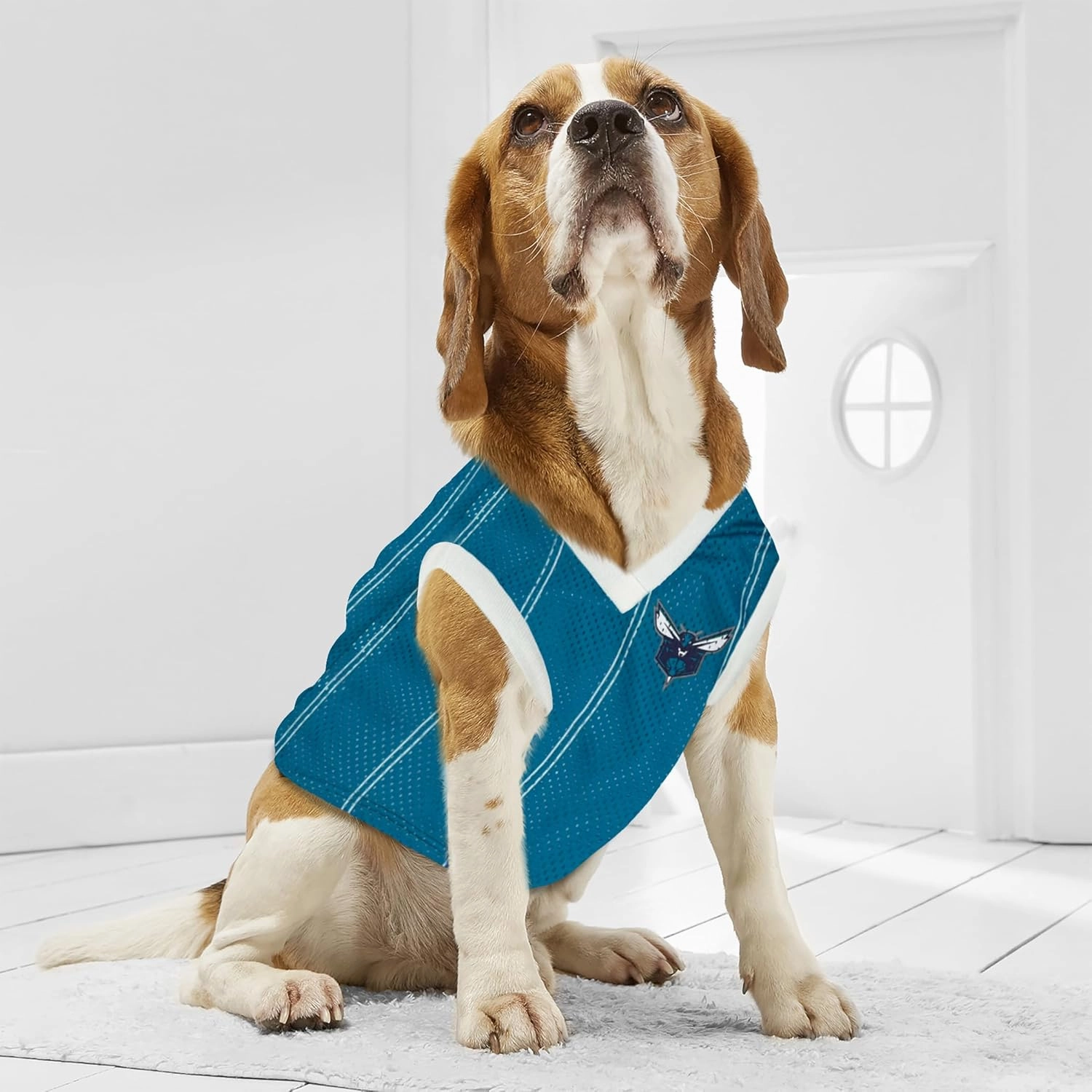 Pets First NBA Charlotte Hornets Dog Jersey, Medium- Tank Top Basketball Pet Jersey