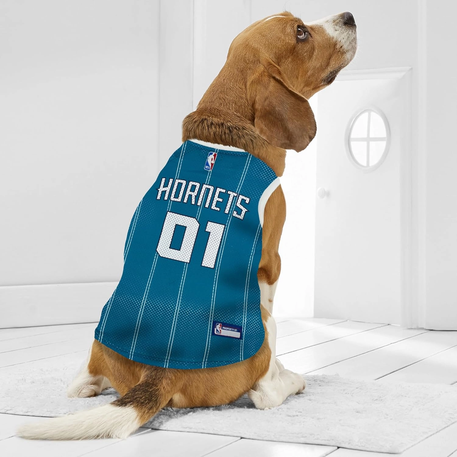 Pets First NBA Charlotte Hornets Dog Jersey, Medium- Tank Top Basketball Pet Jersey