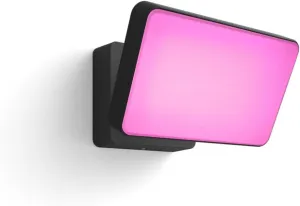 Philips Hue Discover Outdoor Smart Flood Light Fixture, Black - 15W, White and Color Ambiance LED Color-Changing Light - 2 Pack - Requires Hue Bridge - Control with Hue App and Voice - Weatherproof