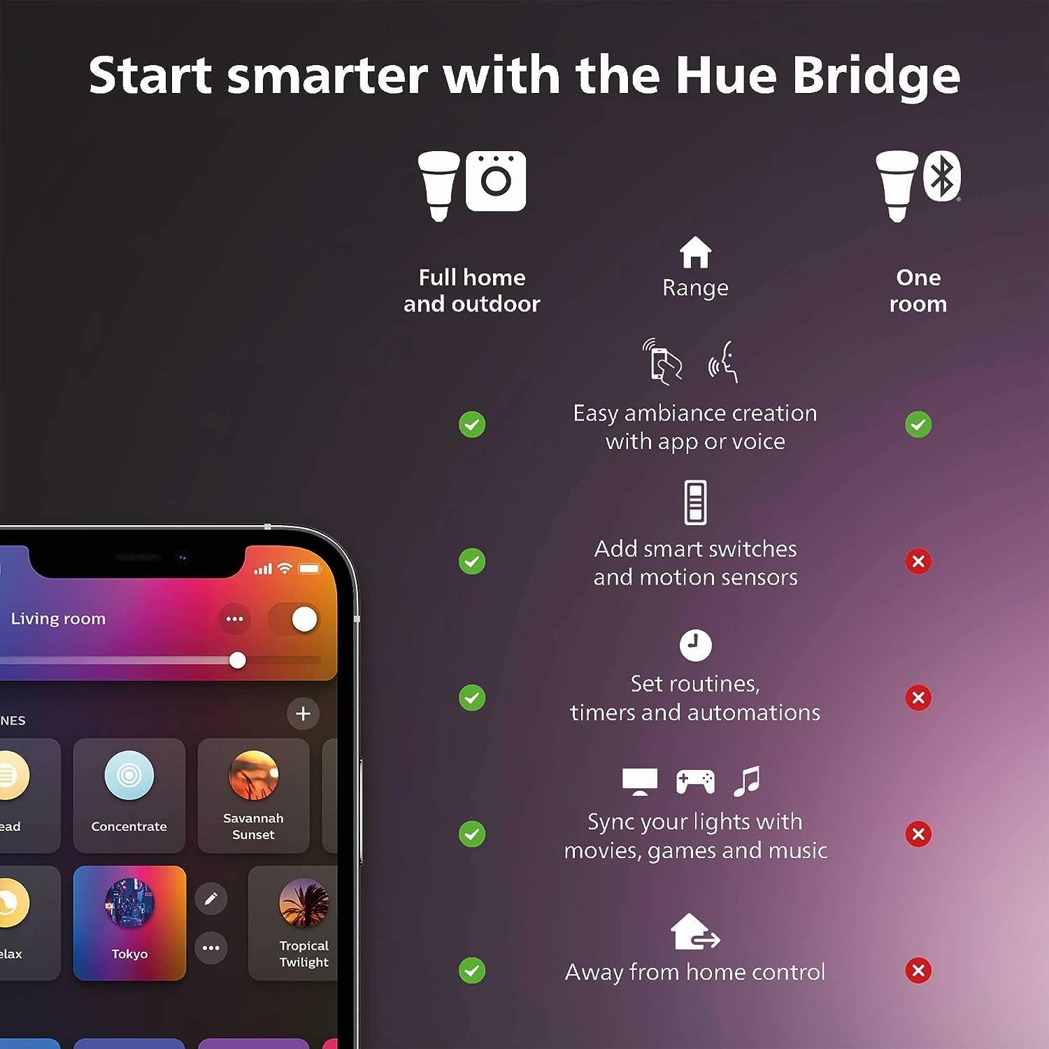 Philips Hue Outdoor 100W Power Supply Black - Connect Multiple Hue Outdoor Low Voltage Lights up to Total of 100W - 1 Pack - Requires Hue Bridge - Weatherproof