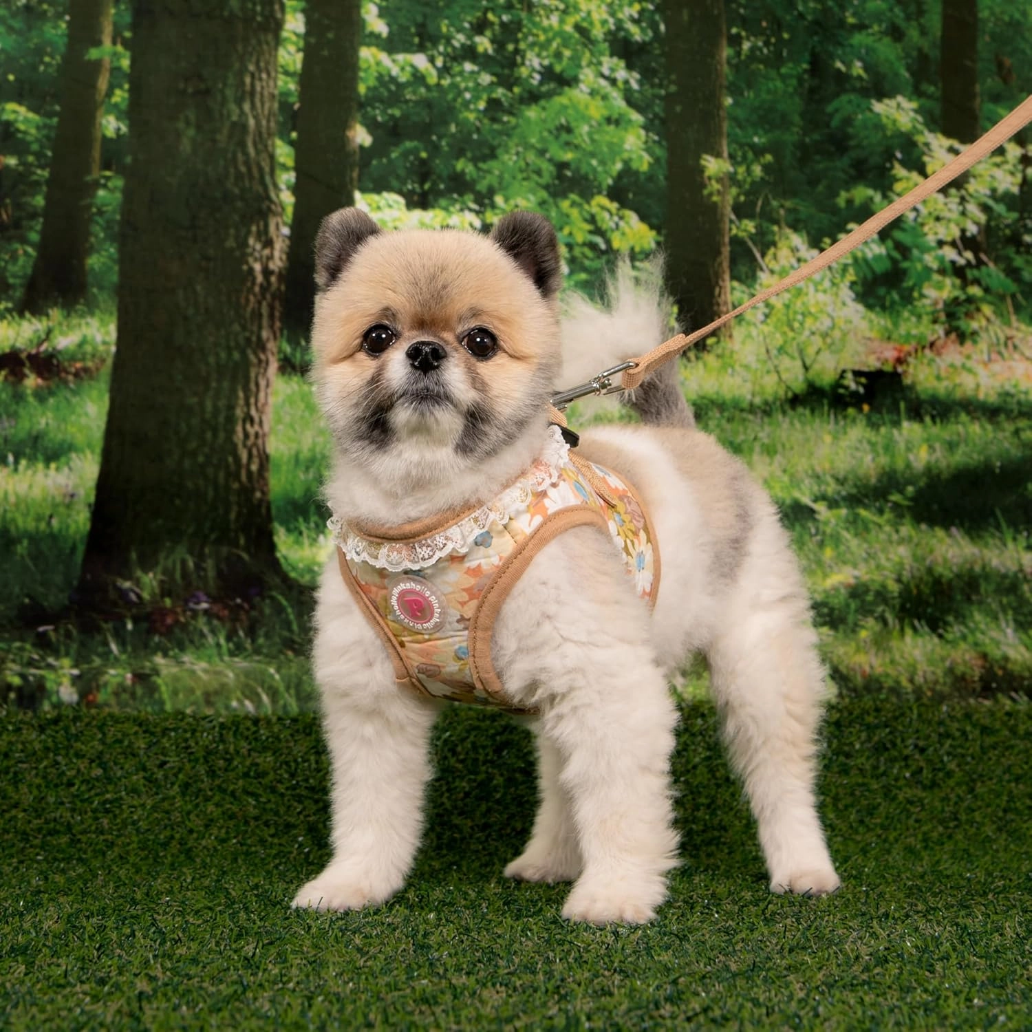 Pinkaholic New York Lilibeth Dog Vest Harness (Step-in) Flower Pattern Fashionable Cute Spring Summer Harness for Small Dogs, Beige, Medium