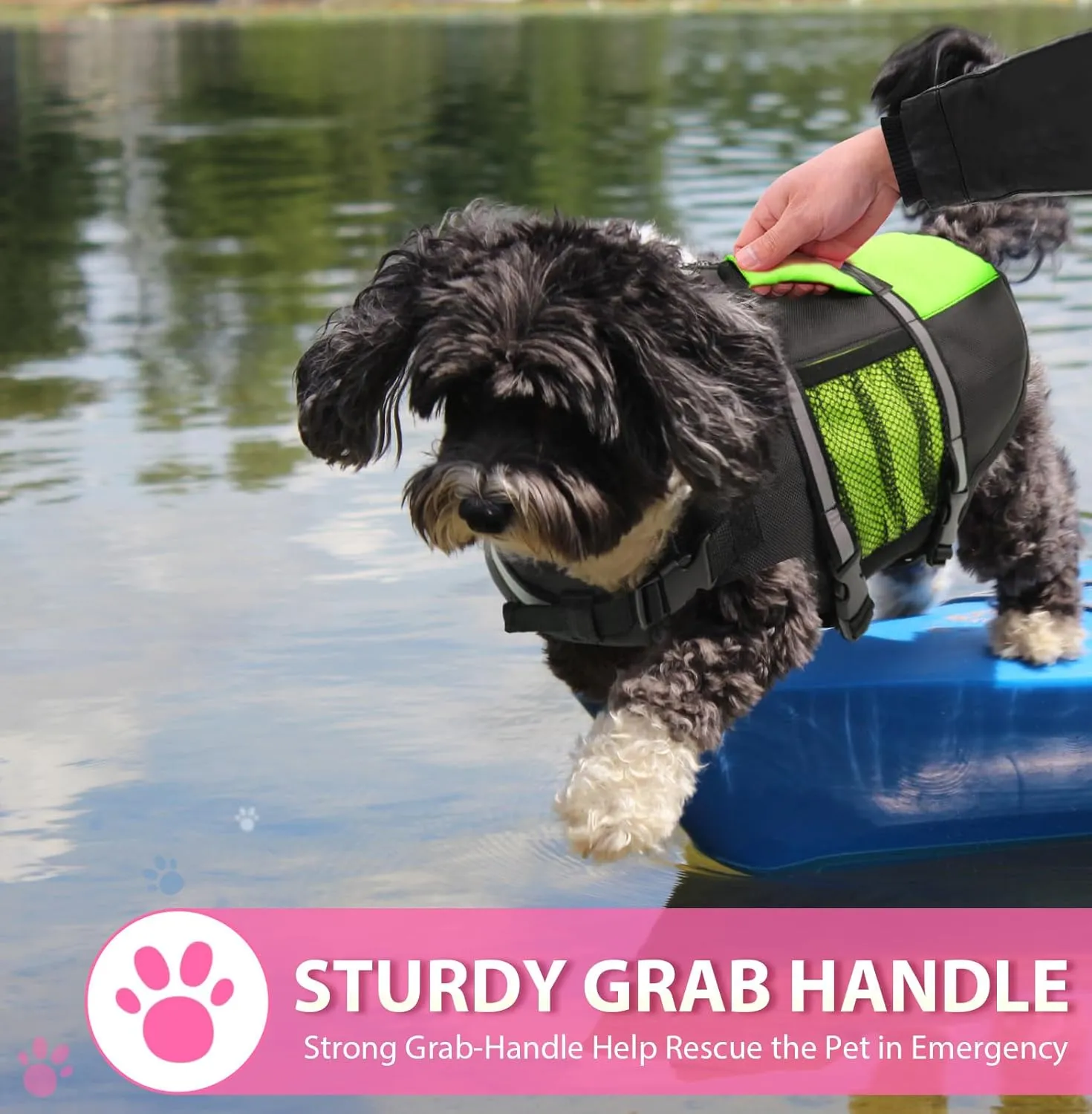 Queenmore Dog Life Jacket Lifesaver Preserver High Buoyancy with Emergency Grab Handle for Small & Medium Dogs Green, X-Small