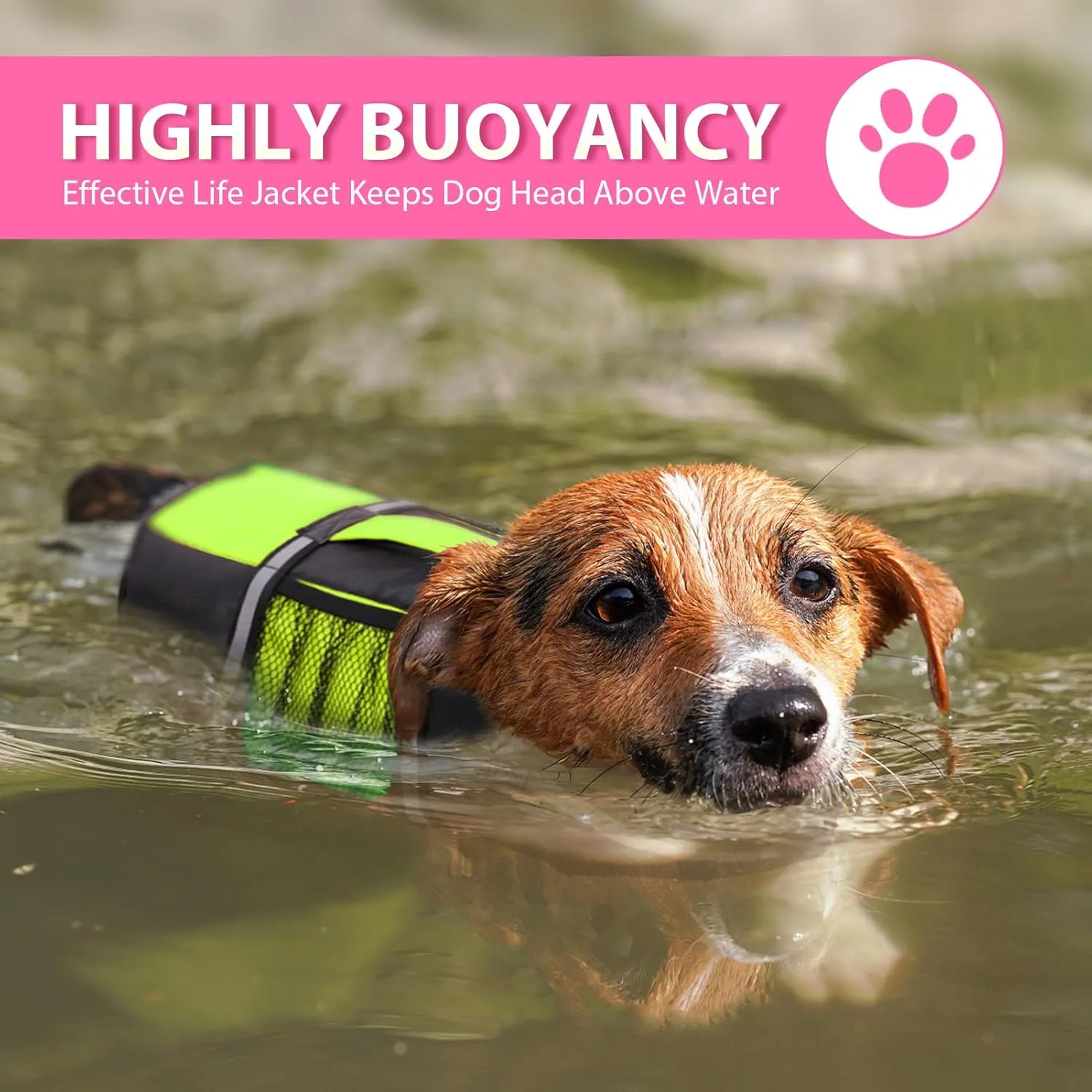 Queenmore Dog Life Jacket Lifesaver Preserver High Buoyancy with Emergency Grab Handle for Small & Medium Dogs Green, X-Small