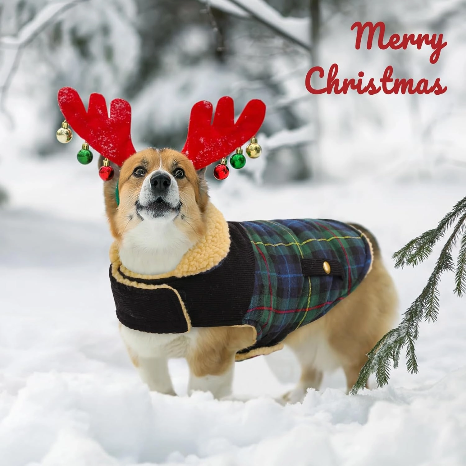 Queenmore Warm Dog Jacket for Cold Weather, Quilted Puffer Plaid Coat with Waterproofing, Fleece Padding, Leash Hole - Small/Medium, Girl/Boy Dog Christmas Coat