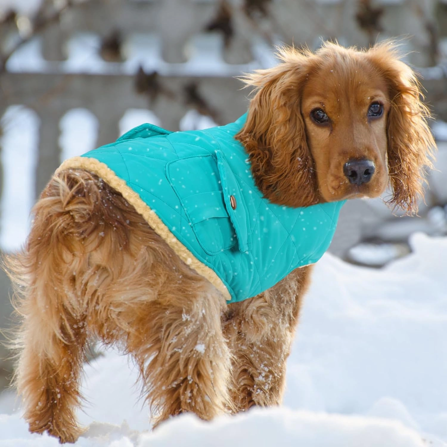 Queenmore Warm Puffer Dog Coat, Quilting Winter Jacket Ultra Thick Plush Fleece Lining Pet Clothes for Dogs with Storage Pockets (Light Blue, X-Small)