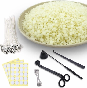 ReArt Organic White Beeswax Pellets, Candle Accessory Set, Candle Making Kit, for Candle Making Skin Beeswax Beads for DIY and Craft Project (10LB with Kits)
